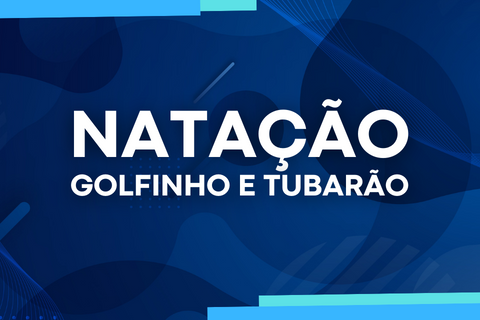 Golfinho e Tubarão Manhã